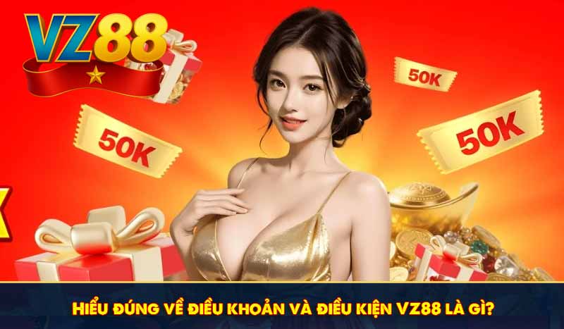 Hiểu đúng về điều khoản và điều kiện VZ88 là gì?