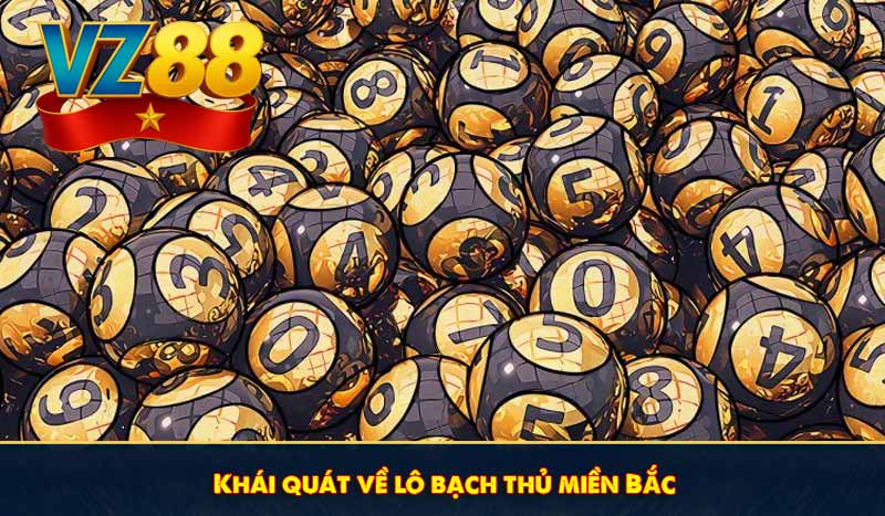 Khái quát về lô bạch thủ miền Bắc