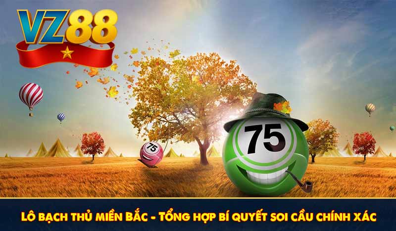 Lô bạch thủ miền Bắc - Tổng hợp bí quyết soi cầu chính xác