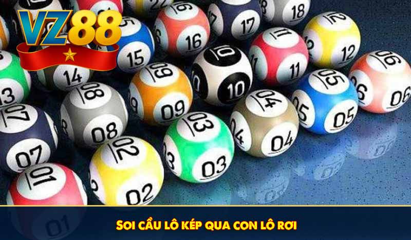 Soi cầu lô kép qua con lô rơi