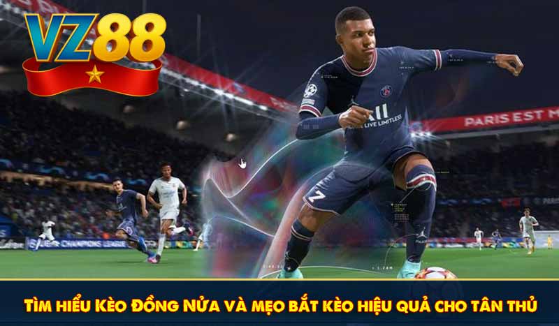 Tìm hiểu Kèo Đồng Nửa và mẹo bắt kèo hiệu quả cho tân thủ